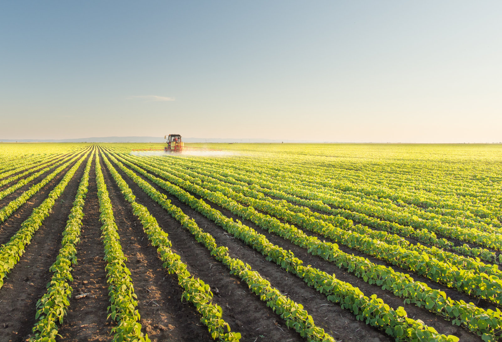 Silicone Adjuvant for Agriculture